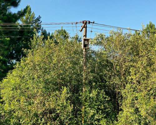 Se Vende Chacra de 1.5 Ha con Arroyo