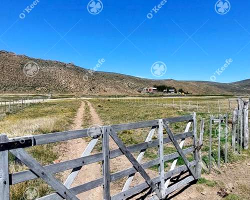 Campo en Venta de 4394 Has Comallo, Rio Negro