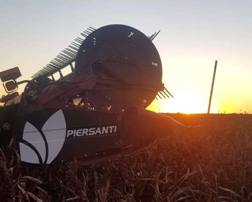 Reforma TU Case a Lona Piersanti Hasta 45 Pies