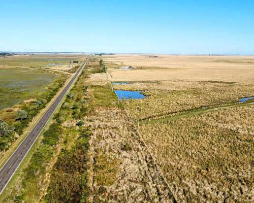 2000 Hectareas Frente a Ruta Nacional