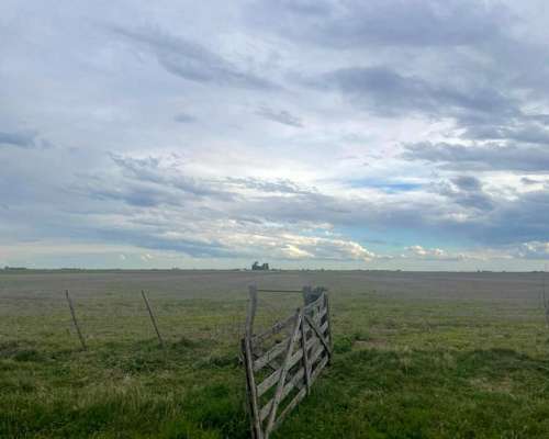 Campo Agrícola 25 Has. con Renta en J. J. Paso