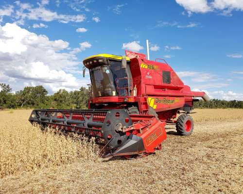 Don Roque 125e Electro