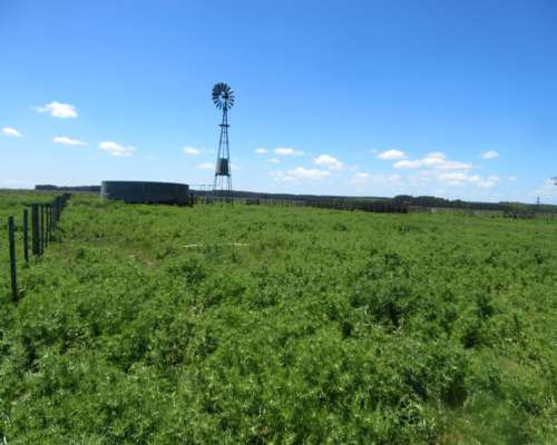 Paraje Oliden - 220 Ha - Buenos Aires