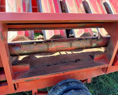 Maicero Mainero de 8 a 52