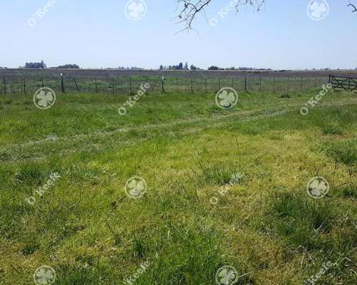 Chacra en Venta 34 Has en Lezama. Ideal Producir y Disfrutar