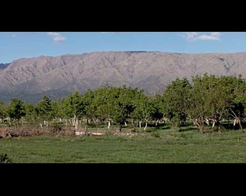 Campo Nogales Merlo San Luis