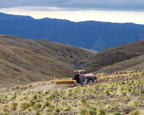 Pcia. de Catamarca - Singuil 5816 Has