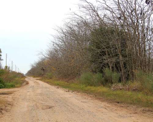 Campo Agrícola-ganadero en Marcos PAZ