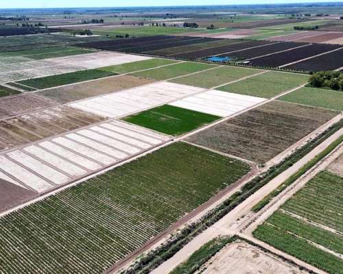 100 Ha los Alamos Beltran 3 Pozos