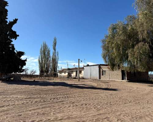 Finca de Viñedos Vitivinícola 34 Ha 2 Pozos,malla Anigranizo