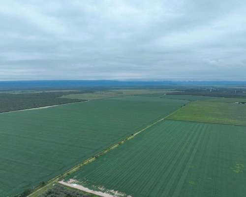 Pcia. de Catamarca - Bañado de Ovanta 437 Ha