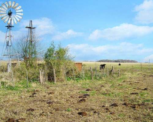 Brandsen, Buenos Aires - 284 Ha