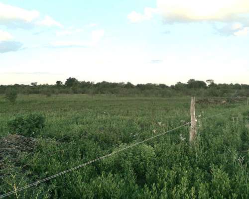 62 Hectáreas Mixtas . Sobre Ruta N463