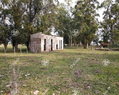 Campo en Venta 57 Has en Veronica