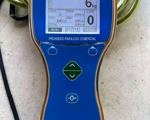 Balanza para BIG BAG 2500 Kilos.