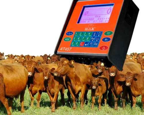 Balanzas Hook para Hacienda