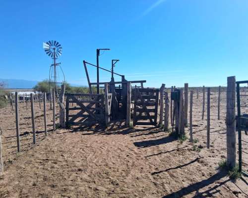 Campo Ganadero Pampas Blancas, en la Rioja, 11500 Has