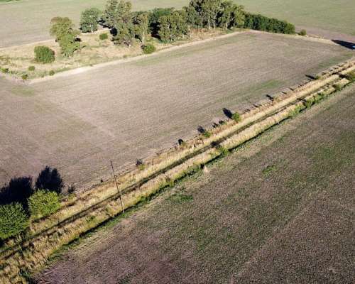 20 Ha Agricolas en Roque Pérez (BS AS)