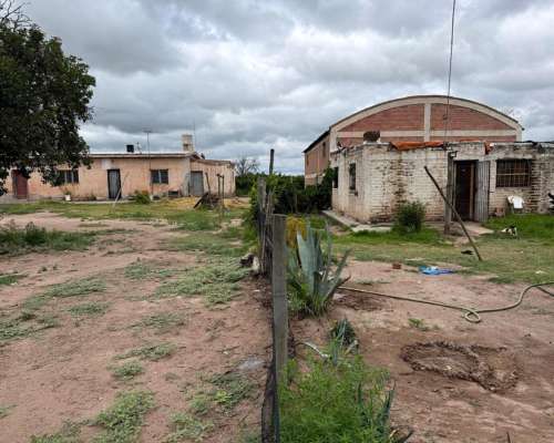 Finca de 25 Ha Chapanay, San Martin Mendoza