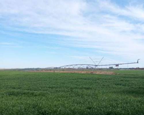 200 Hectáreas Agricolas. Arrecifes.
