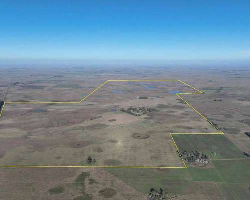 Pcia. de Buenos Aires - Gorch 860 Ha