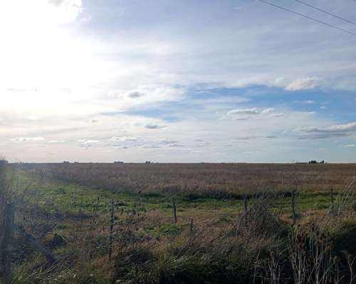 Campo de 177 Hectareas de Aptitud Mixto Ubicado en Ayacucho