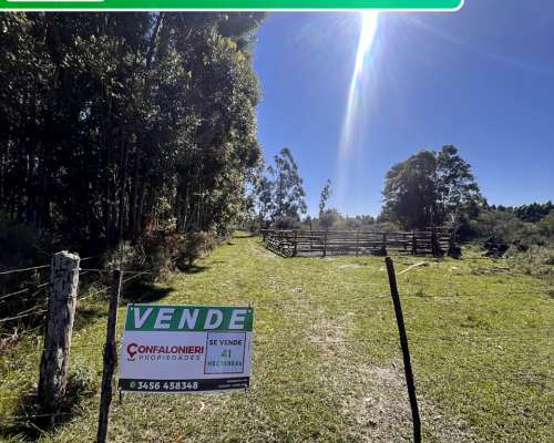 41 Ha Mocoreta Corrientes