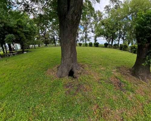 77 Hectáreas Sobre Ruta N°5 – Suipacha (bs. As.)