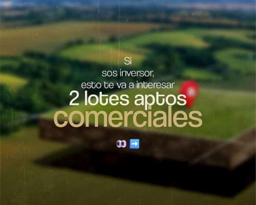 Dos Lotes Aptos Comerciales en San Francisco, Córdoba