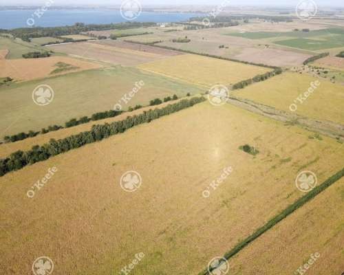 Campo en Venta 57 Has en Chascomús