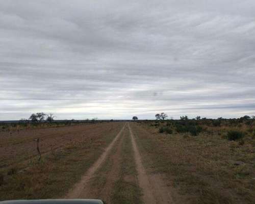 Campo en Venta Zona San Luis