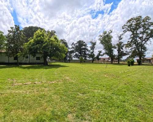 77 Hectáreas Sobre Ruta N°5 – Suipacha (bs. As.)