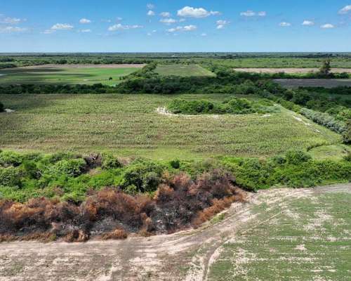 Ingeniero Forres, Robles, Santiago del Estero - 451 Ha