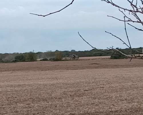 Campo 70 Ha Nogoyá Excelente Ubicación a 5 km de la Ciudad