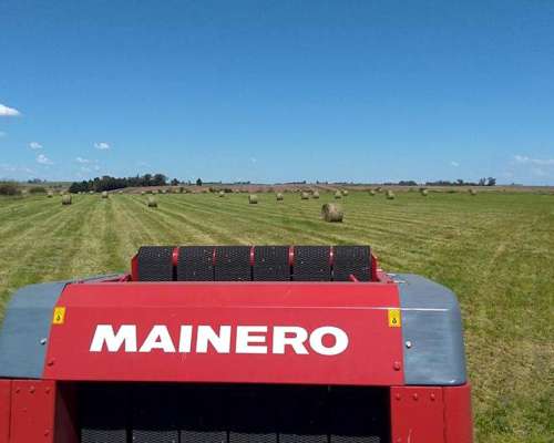 5877 para Atador de RED - Recolector EXT 1,80 Mts