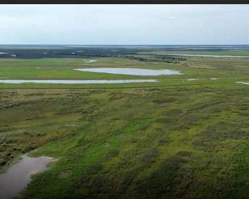Isla en Diamante Entre Rios