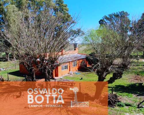 Campo en Venta 393has Mercedes, Buenos Aires