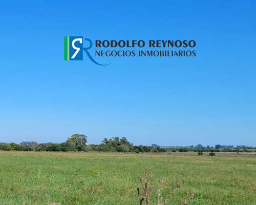 22 HA. en Villa Elisa - Entre Ríos