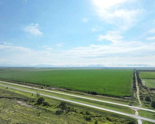 Pcia. de San Luis - Naschel 1306 Ha