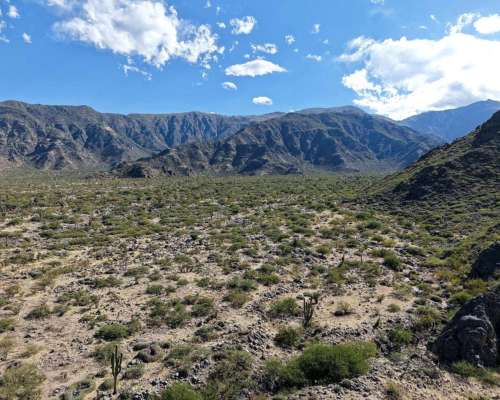 Pcia. de Tucuman - Tolombon 320 Ha