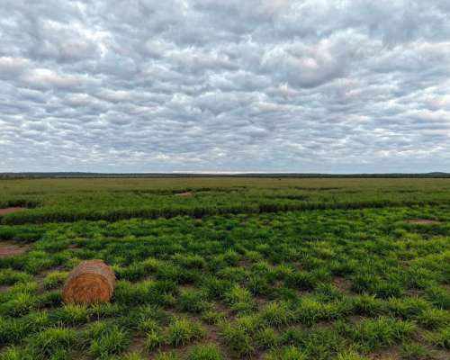 Pcia. de Salta - la Estrella 2125 Ha