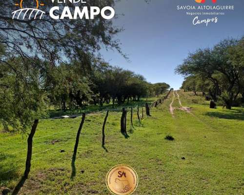 Vende: Campo Mixto de 681 Hectáreas en Naicó, la Pampa
