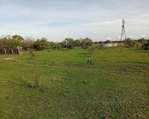 Vendo Campo Ganadero en E.rios