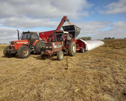 Embutidoras Granos Mainero + Tractor Fiat Combo