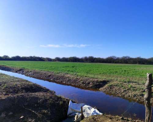 25 Hectareas con 4 Hectareas de Alfalfa Arriendo a 3 Años
