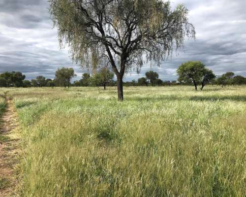 Ulapes - 4.222 Ha - la Rioja