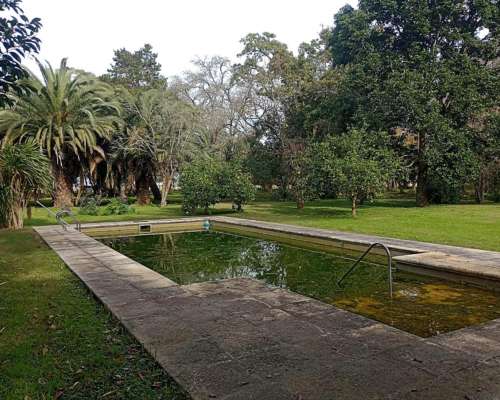Campo en Venta en Magdalena - 226 Has a 1 Hora de Caba
