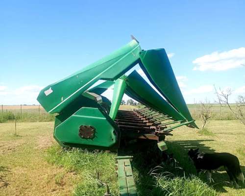 Maicero de Grande de 10 a 52