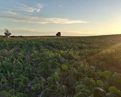 Campo en San Luis. Ubicación Estratégica e Infraestructura