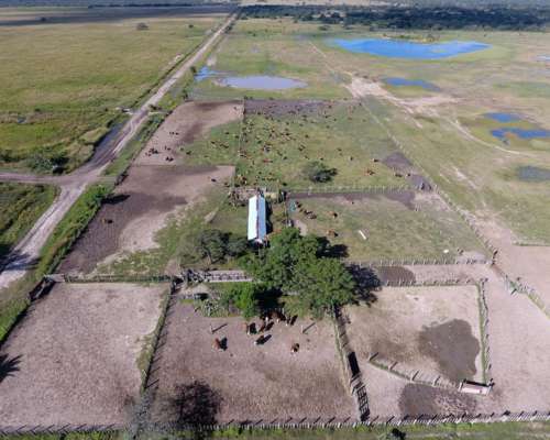 10150 Has Ganaderas Tostado Sobre RN98